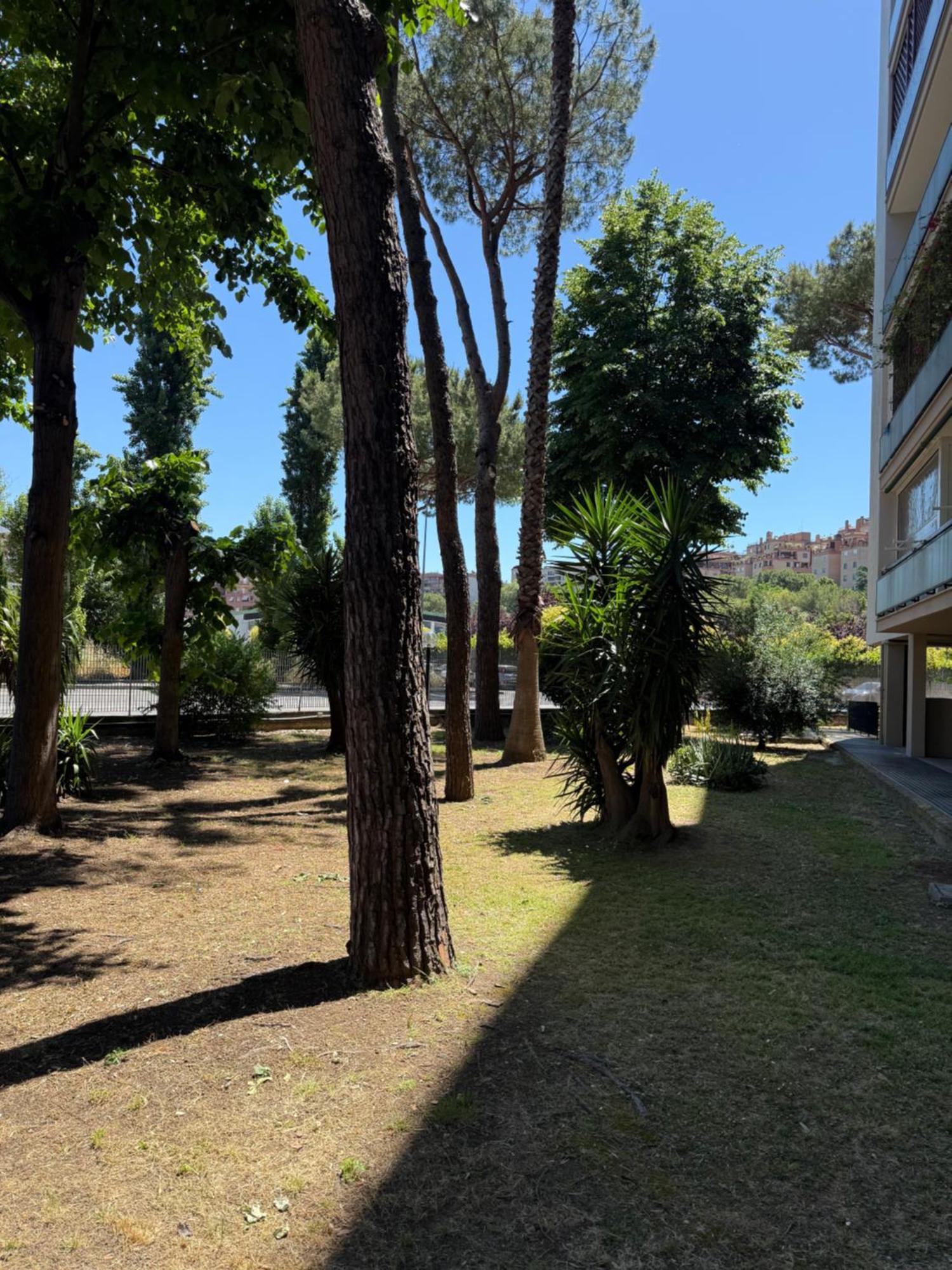 Appartamento Zona Torrino ローマ エクステリア 写真